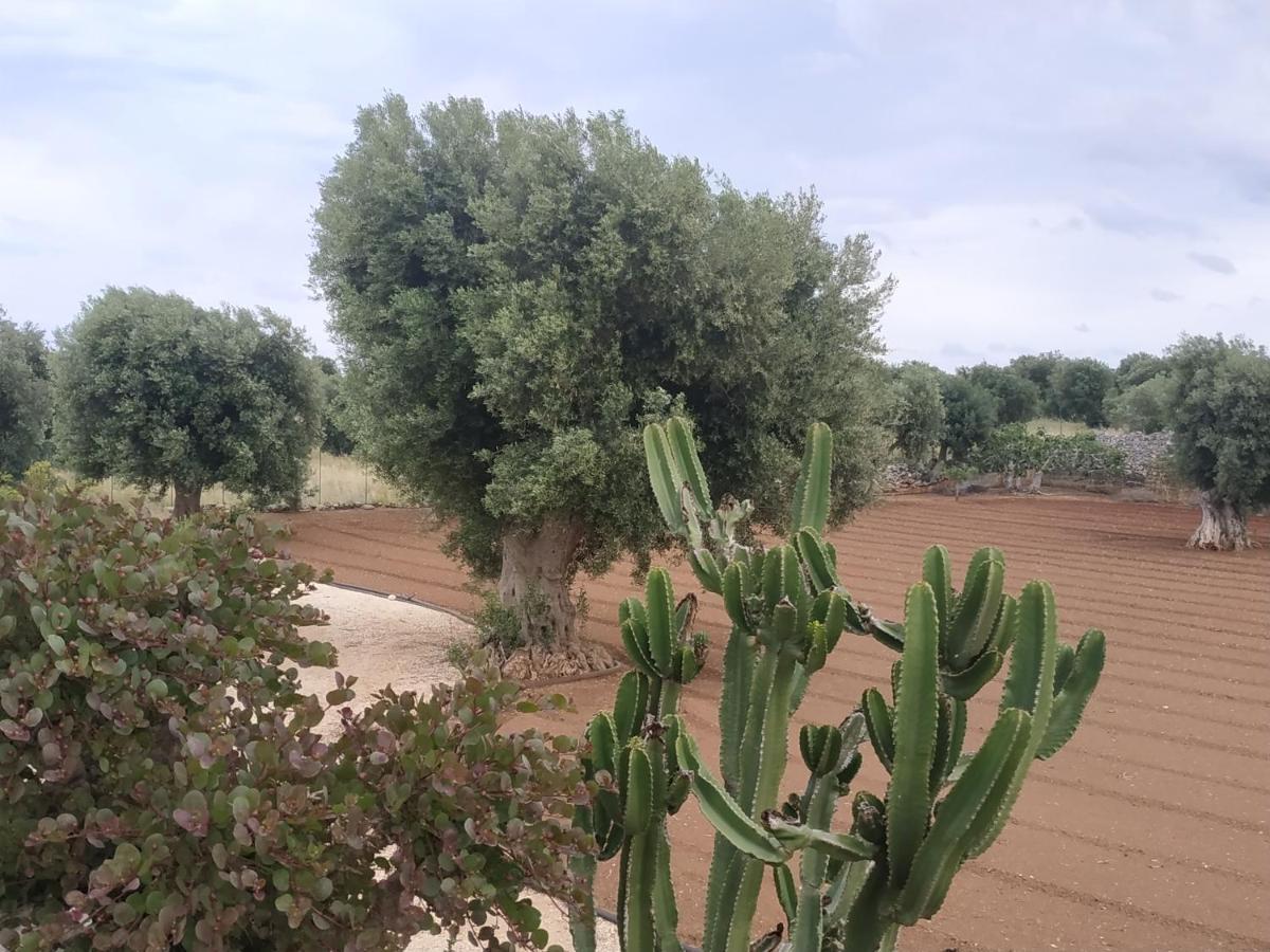 Masseria Auina Hotel Fasano Ngoại thất bức ảnh